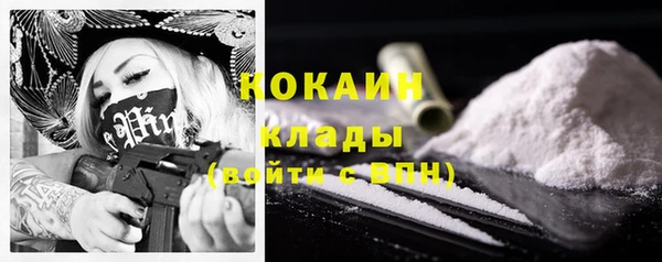 сатива Надым