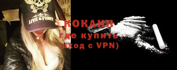 сатива Надым