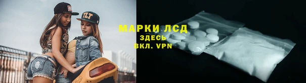 сатива Надым