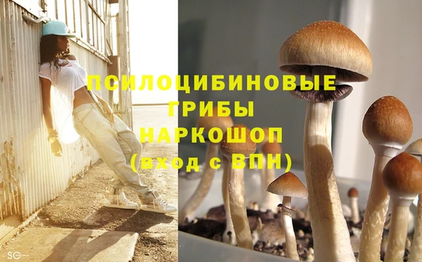 бошки Наволоки