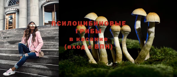сатива Надым