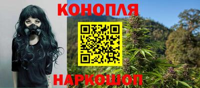 PSILOCYBIN Жуковский