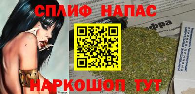 mdpv Заводоуковск
