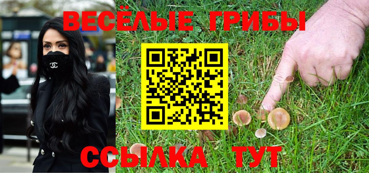 Галлюциногенные грибы ЛСД Донской