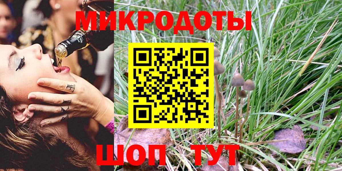 купить наркоту  Галлюциногенные грибы мицелий  Донской  Псилоцибиновые грибы MAGIC MUSHROOMS 